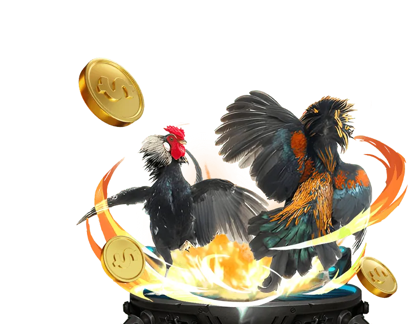 Hướng dẫn chơi Đá Gà Jun88 Mobi